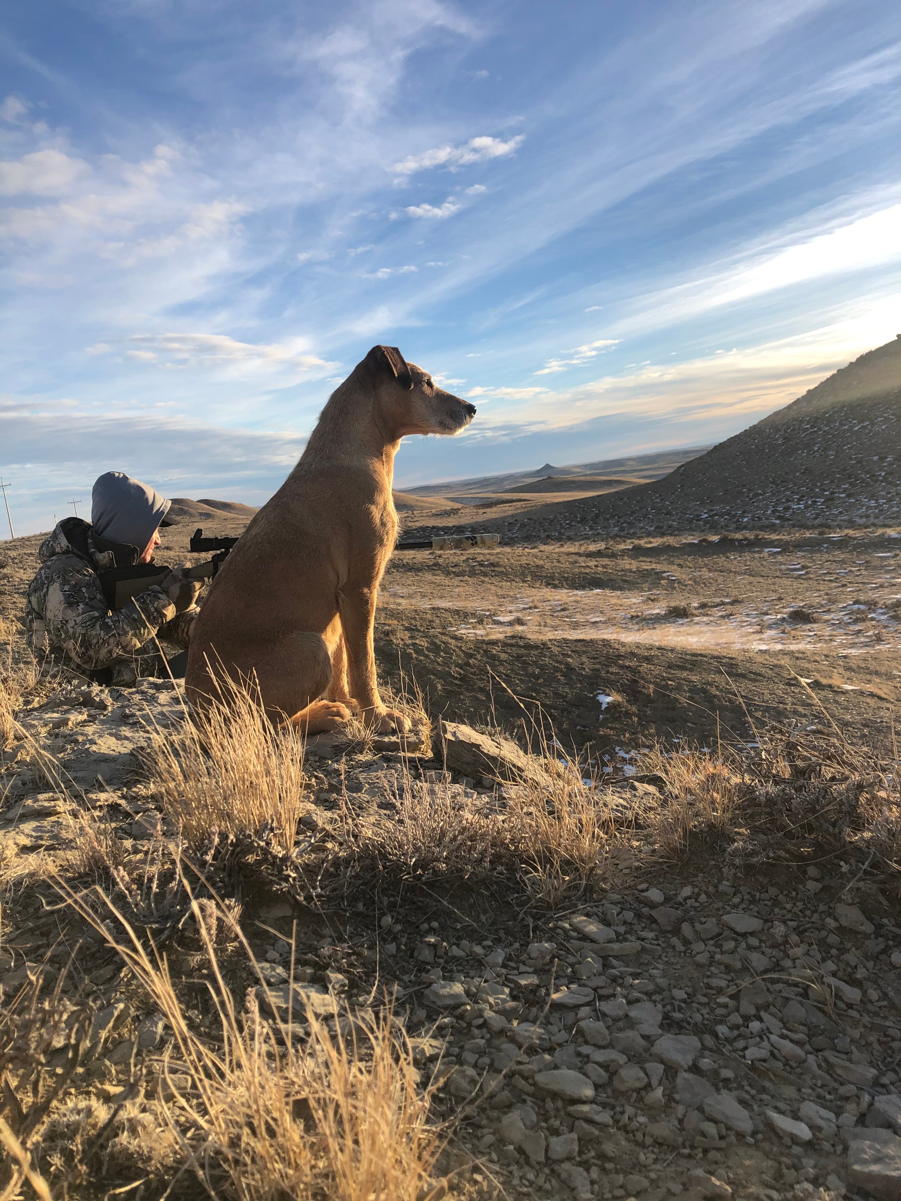Hunter with dog in open prairie landscape