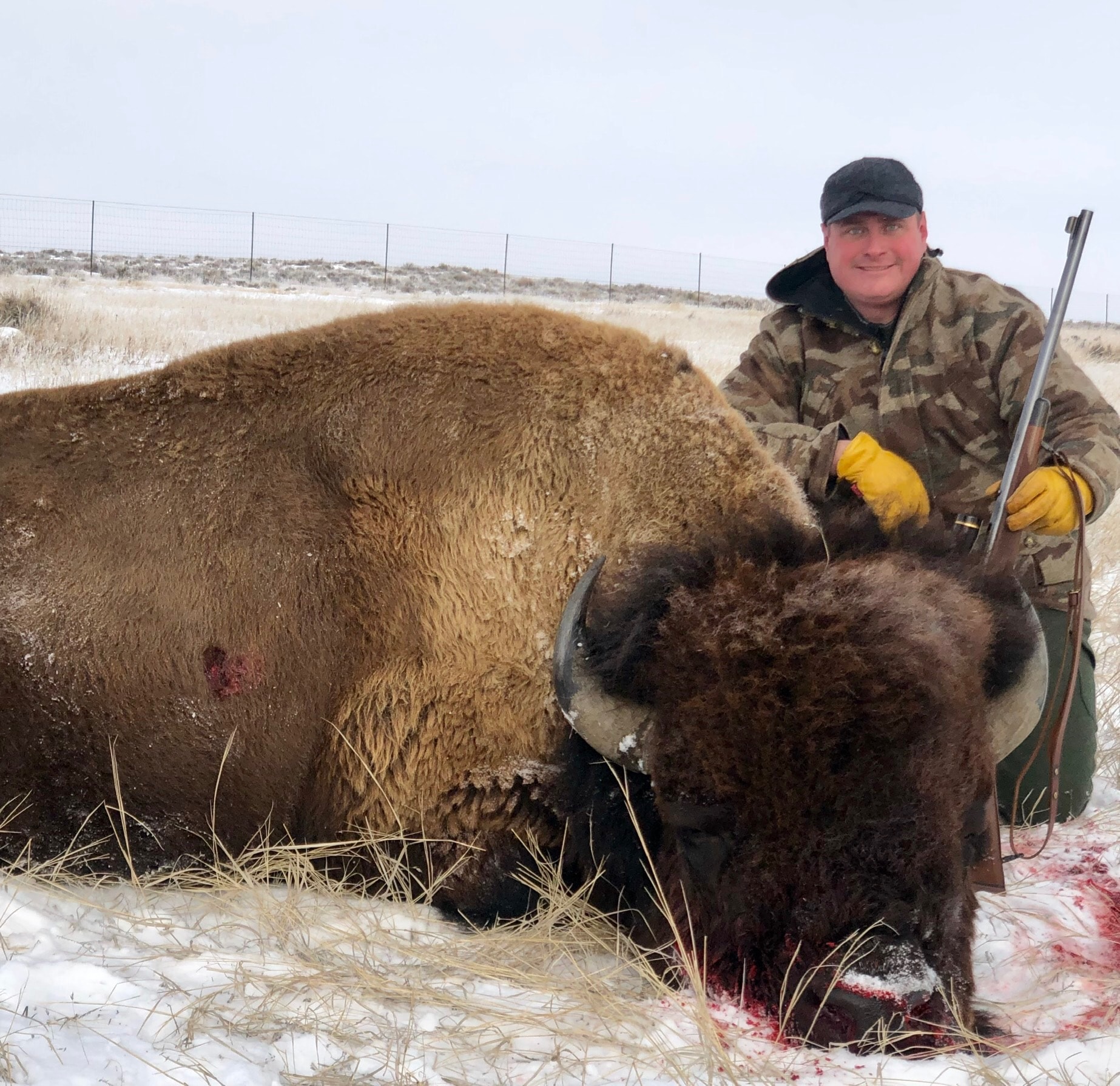Hunter with harvested bison in winter prairie, yellow gloves