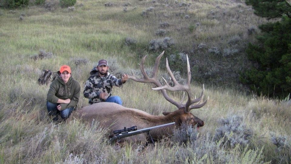 Two hunters with harvested bull elk in sagebrush hills