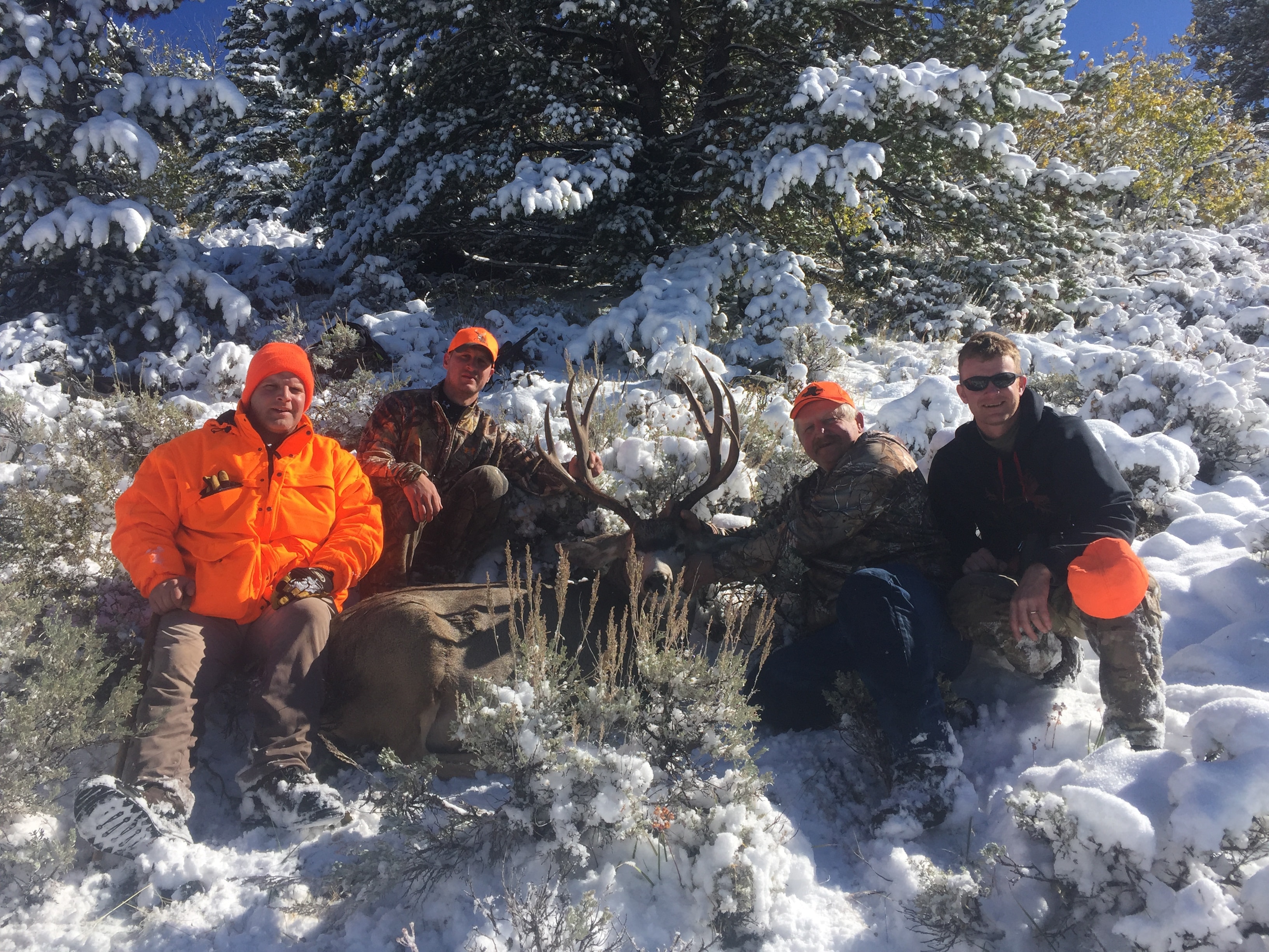 Group of four hunters with harvested mule deer buck in snowy forest