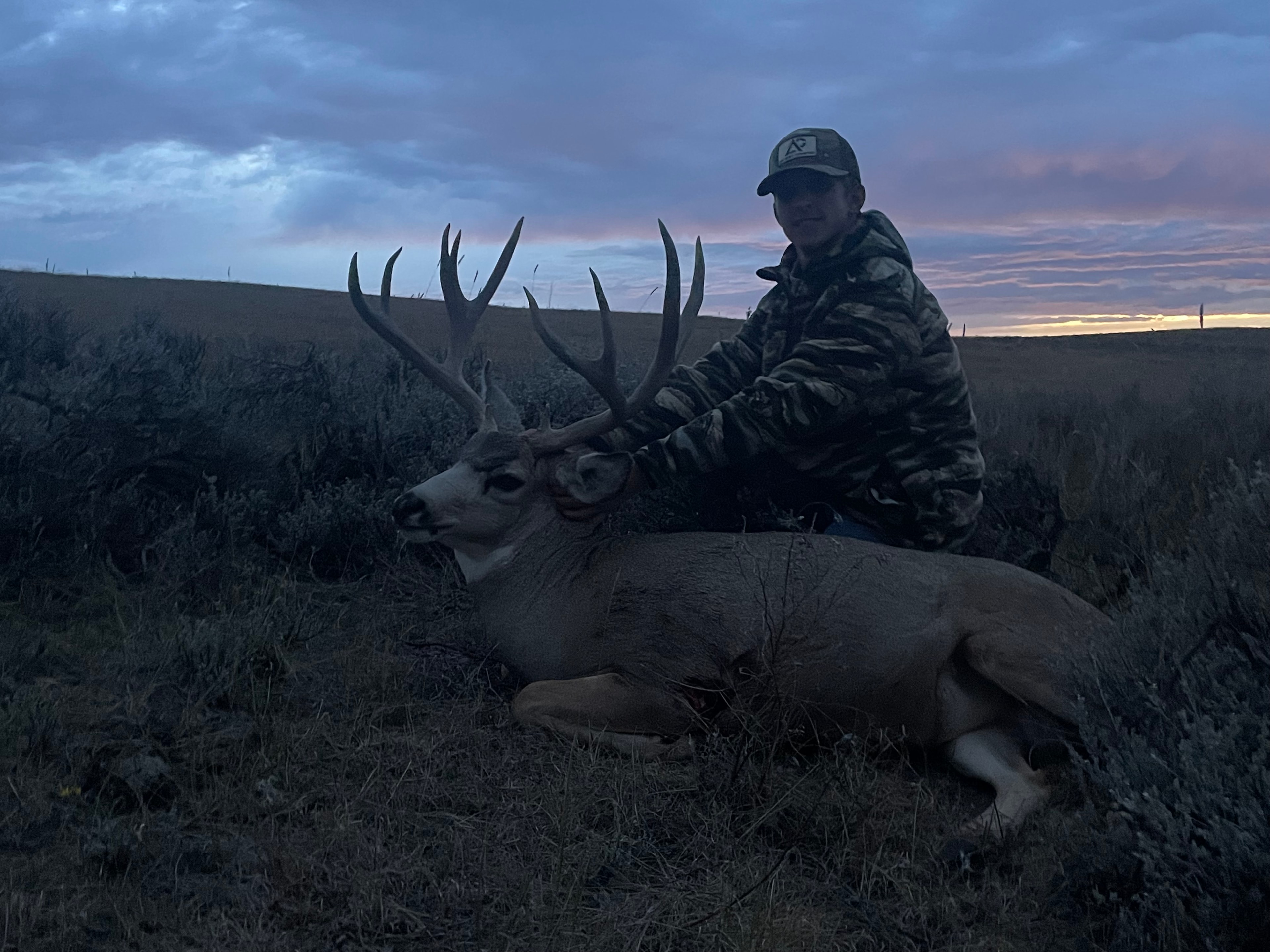 Hunter with harvested mule deer buck at dusk, colorful sunset sky